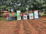 IPTA instala Parcela Semillera de Piña en Escuela Agrícola San Pedro de Santa Rosa