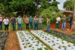 Capacitación teórico-práctica sobre producción de frutilla