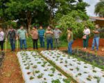 Capacitación teórico-práctica sobre producción de frutilla
