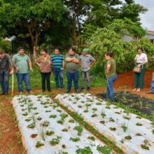 Capacitación teórico-práctica sobre producción de frutilla