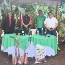 Jornada Técnica del Banano.