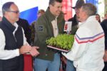 IPTA entrega 4.224 plantines de tomate a productores de La Colmena, Paraguarí